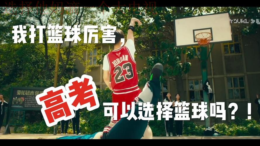 全面解读FB体育官方链接详情