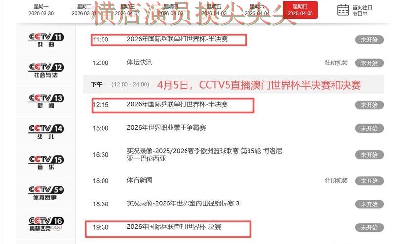 世界杯全球总决赛来临，世界杯投注入口真实体验+直播与平台选择揭秘